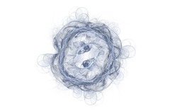 2014 05 04 Test 4 99995-white.jpg